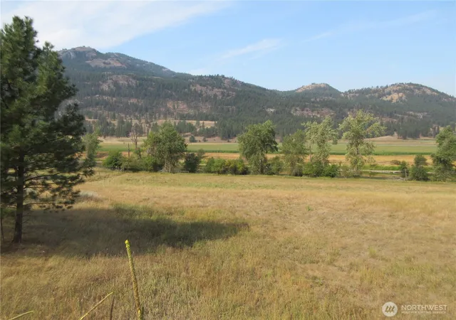 Photo 3 of Land for sale at 9999 Customs Rd, Curlew, WA 99118 | MLS# NWM2575542 | Listing updated on 2026-09-25