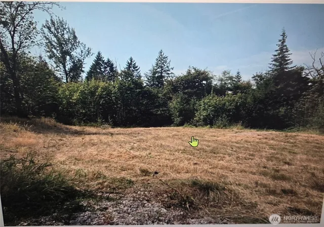 Photo 1 of Land for sale at 144 Dowling Rd, Toledo, WA 98591 | MLS# NWM2575558 | Listing updated on 2026-09-25