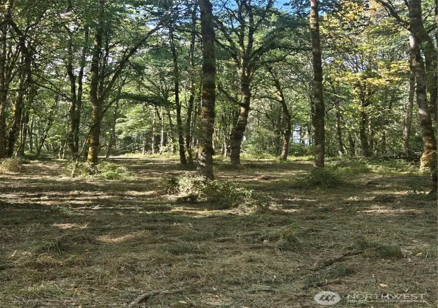 Photo 2 of Land for sale at 144 Dowling Rd, Toledo, WA 98591 | MLS# NWM2575558 | Listing updated on 2026-09-25