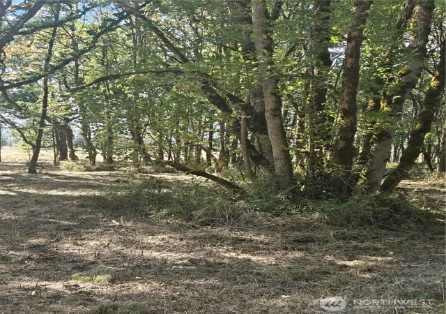 Photo 3 of Land for sale at 144 Dowling Rd, Toledo, WA 98591 | MLS# NWM2575558 | Listing updated on 2026-09-25