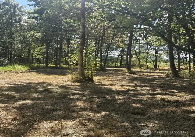 Photo 3 of Land for sale at 144 Dowling Rd, Toledo, WA 98591 | MLS# NWM2575558 | Listing updated on 2026-09-25