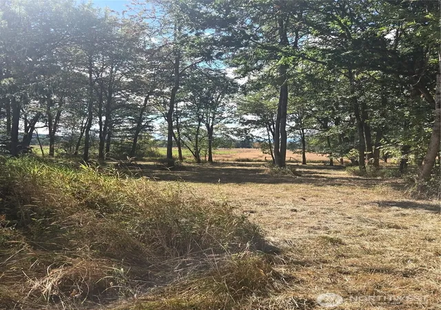 Photo 4 of Land for sale at 144 Dowling Rd, Toledo, WA 98591 | MLS# NWM2575558 | Listing updated on 2026-09-25