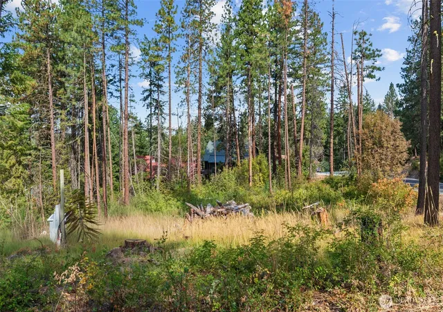 Photo 2 of Land for sale at 25711 Bridle Ln, Leavenworth, WA 98826 | MLS# NWM2575971 | Listing updated on 2026-09-25