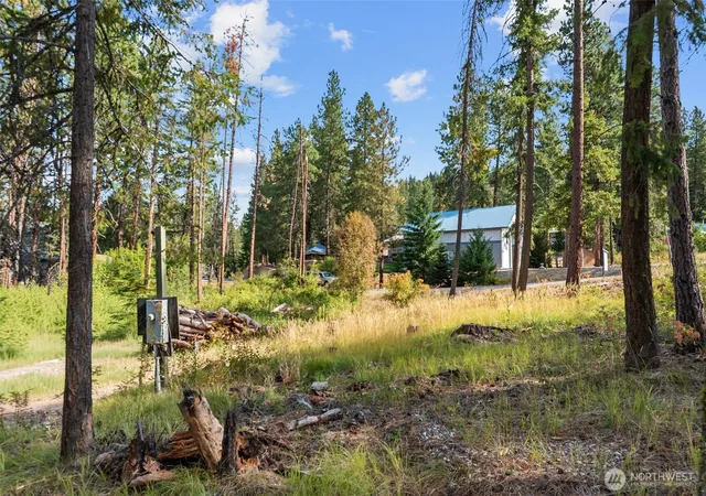 Photo 4 of Land for sale at 25711 Bridle Ln, Leavenworth, WA 98826 | MLS# NWM2575971 | Listing updated on 2026-09-25