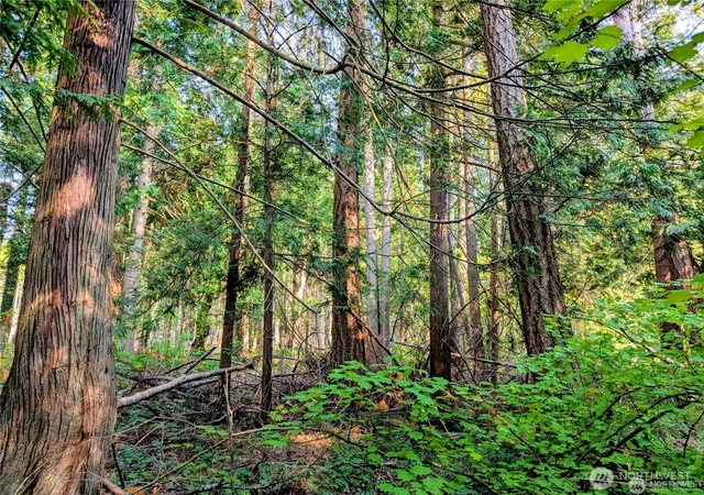 Photo 1 of Land for sale at 2 Mill Rd, Point Roberts, WA 98281 | MLS# NWM2576050 | Listing updated on 2026-09-25