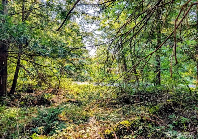 Photo 3 of Land for sale at 2 Mill Rd, Point Roberts, WA 98281 | MLS# NWM2576050 | Listing updated on 2026-09-25