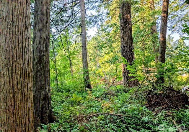 Photo 3 of Land for sale at 2 Mill Rd, Point Roberts, WA 98281 | MLS# NWM2576050 | Listing updated on 2026-09-25