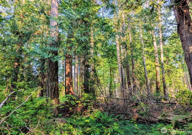 Photo 4 of Land for sale at 2 Mill Rd, Point Roberts, WA 98281 | MLS# NWM2576050 | Listing updated on 2026-09-25
