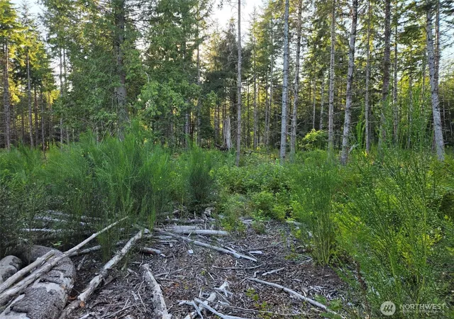 Photo 4 of Land for sale at 15 Xx Kirkpatrick Rd, Hoquiam, WA 98550 | MLS# NWM2576073 | Listing updated on 2026-09-30