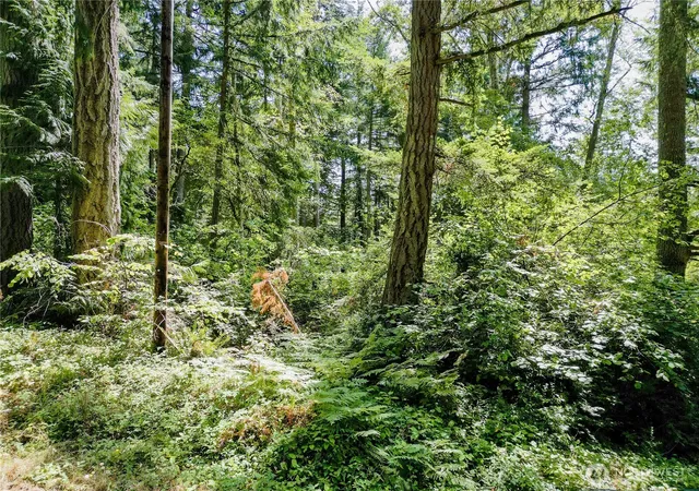 Photo 1 of Land for sale at 12212 Sound Dr, Anderson Island, WA 98303 | MLS# NWM2576109 | Listing updated on 2026-09-25