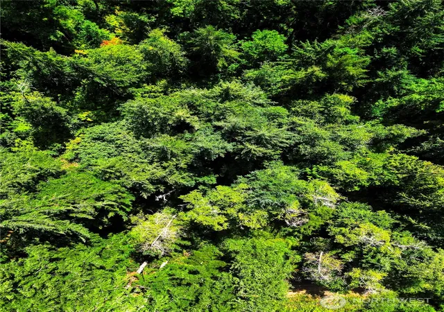 Photo 2 of Land for sale at 12212 Sound Dr, Anderson Island, WA 98303 | MLS# NWM2576109 | Listing updated on 2026-09-25