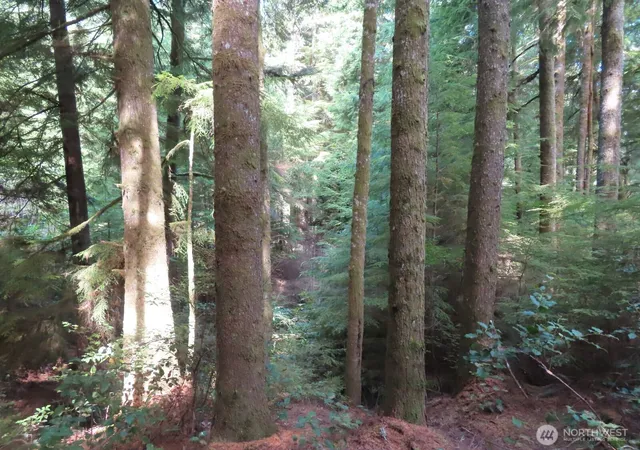 Photo 1 of Land for sale at 0 Xxx State Route 101, South Bend, WA 98586 | MLS# NWM2576185 | Listing updated on 2026-09-25