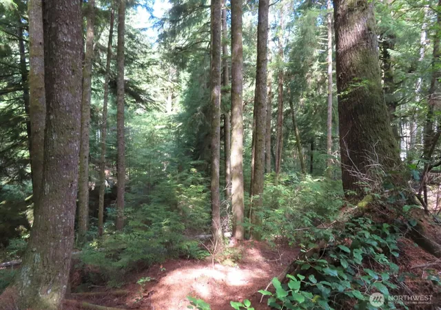 Photo 2 of Land for sale at 0 Xxx State Route 101, South Bend, WA 98586 | MLS# NWM2576185 | Listing updated on 2026-09-25