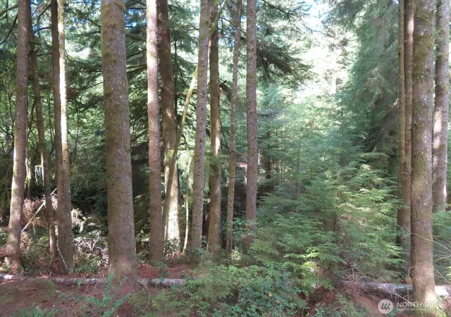 Photo 3 of Land for sale at 0 Xxx State Route 101, South Bend, WA 98586 | MLS# NWM2576185 | Listing updated on 2026-09-25