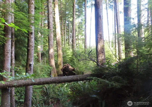Photo 3 of Land for sale at 0 Xxx State Route 101, South Bend, WA 98586 | MLS# NWM2576185 | Listing updated on 2026-09-25