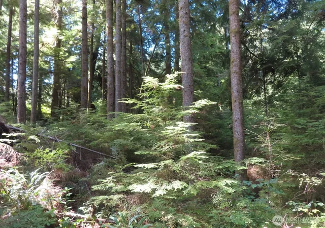 Photo 4 of Land for sale at 0 Xxx State Route 101, South Bend, WA 98586 | MLS# NWM2576185 | Listing updated on 2026-09-25