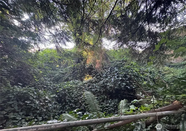 Photo 4 of Land for sale at 10016 SW Bunker Trl, Vashon, WA 98070 | MLS# NWM2576189 | Listing updated on 2026-09-25