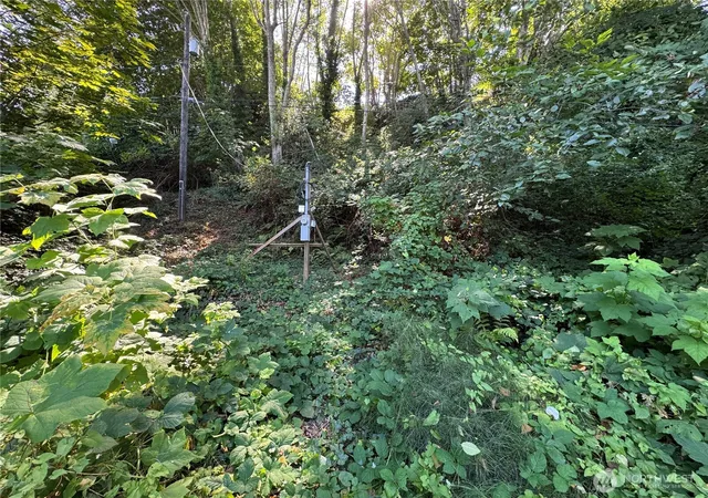 Photo 2 of Land for sale at 11002 Vashon Hwy Sw, Vashon, WA 98070 | MLS# NWM2576217 | Listing updated on 2026-09-25