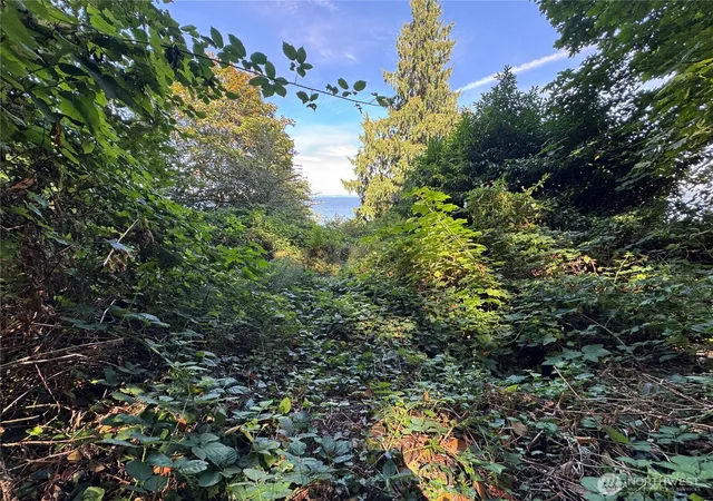 Photo 3 of Land for sale at 11002 Vashon Hwy SW, Vashon, WA 98070 | MLS# NWM2576217 | Listing updated on 2026-09-25