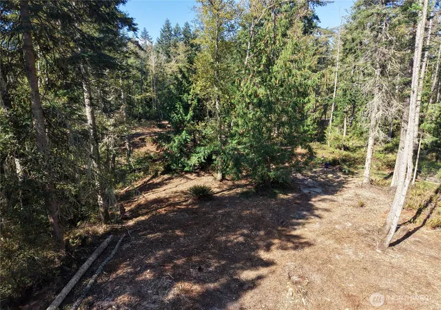 Photo 3 of Contingent at 9999 Took A Look Ln Lot 2, Sequim, WA 98382 | MLS# NWM2576265 | Listing updated on 2026-09-27
