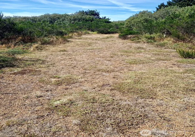 Photo 2 of Land for sale at 543 Sand Dune Ave Sw, Ocean Shores, WA 98569 | MLS# NWM2576284 | Listing updated on 2026-09-25