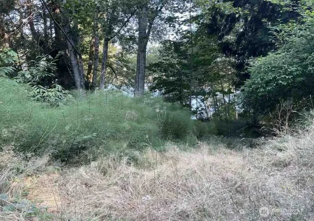 Photo 2 of Land for sale at 108 E Beaver Ln, Shelton, WA 98584 | MLS# NWM2576451 | Listing updated on 2026-10-01