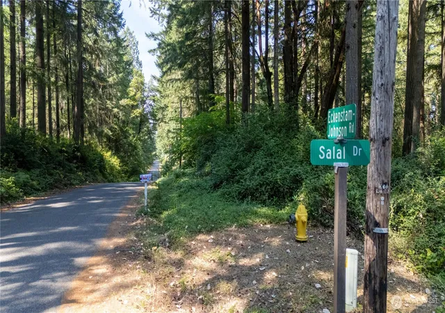 Photo 2 of Land for sale at 8819 Eckenstam Johnson Rd, Anderson Island, WA 98303 | MLS# NWM2576452 | Listing updated on 2026-09-25