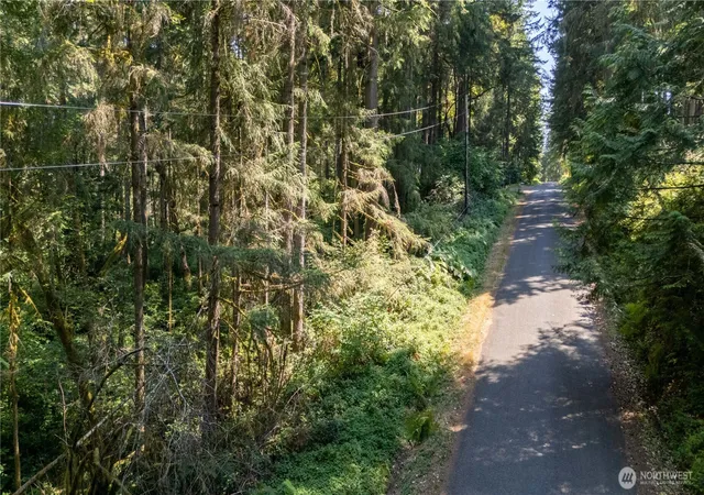 Photo 3 of Land for sale at 8819 Eckenstam Johnson Rd, Anderson Island, WA 98303 | MLS# NWM2576452 | Listing updated on 2026-09-25