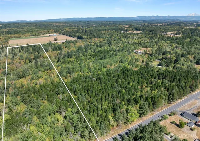 Photo 3 of Land for sale at 137 Jenny Kay Ln, Ethel, WA 98542 | MLS# NWM2576462 | Listing updated on 2026-09-29