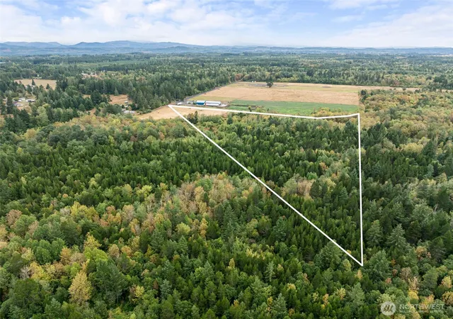 Photo 3 of Land for sale at 233 Allison Rd, Ethel, WA 98542 | MLS# NWM2576465 | Listing updated on 2026-09-29