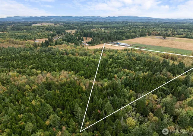 Photo 4 of Land for sale at 233 Allison Rd, Ethel, WA 98542 | MLS# NWM2576465 | Listing updated on 2026-09-29