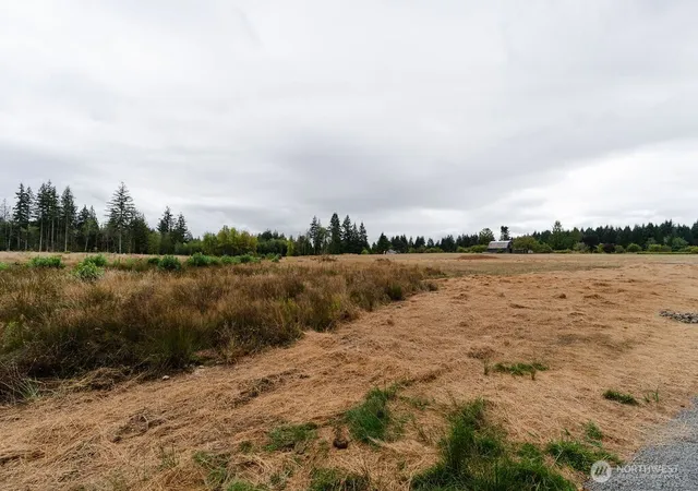 Photo 4 of Land for sale at 124 Easton Ln, Chehalis, WA 98532 | MLS# NWM2576469 | Listing updated on 2026-09-21
