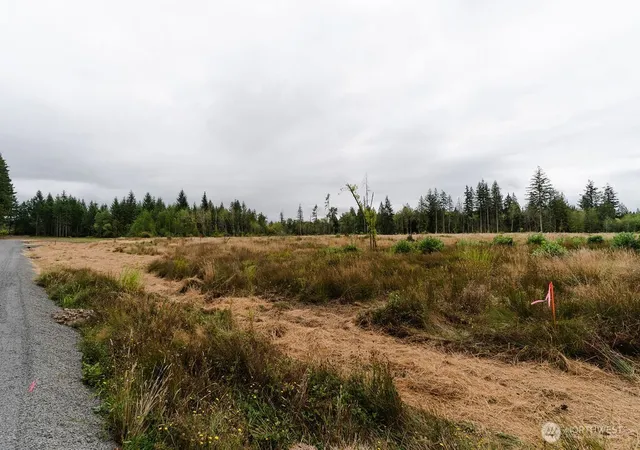 Photo 1 of Land for sale at 138 Easton Ln, Chehalis, WA 98532 | MLS# NWM2576472 | Listing updated on 2026-09-21