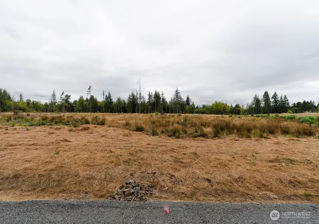 Photo 3 of Land for sale at 138 Easton Ln, Chehalis, WA 98532 | MLS# NWM2576472 | Listing updated on 2026-09-21