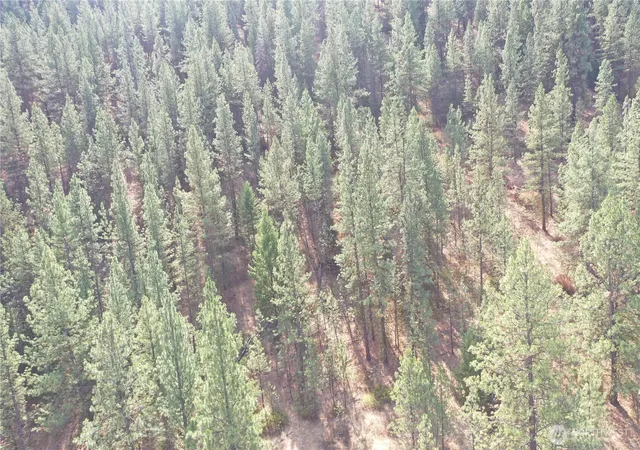 Photo 4 of Land for sale at 20 Sorona Way, Tonasket, WA 98855 | MLS# NWM2576473 | Listing updated on 2026-09-25