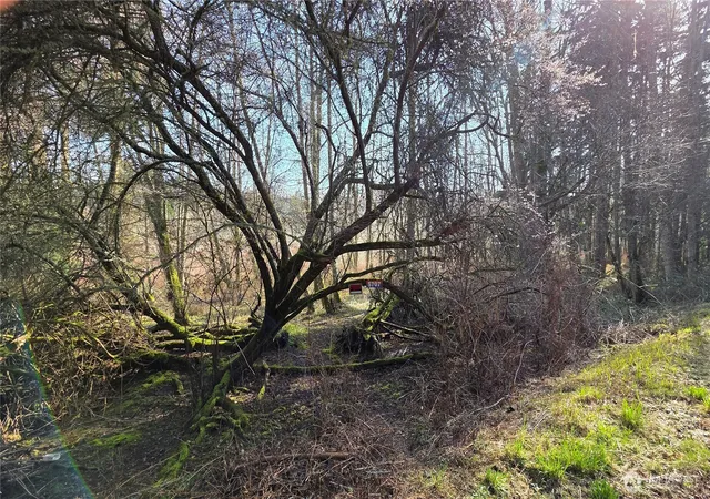 Photo 1 of Land for sale at 5707 Woodard Ave, Freeland, WA 98249 | MLS# NWM2576530 | Listing updated on 2026-09-25
