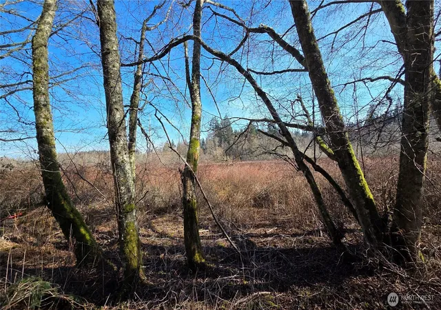 Photo 2 of Land for sale at 5707 Woodard Ave, Freeland, WA 98249 | MLS# NWM2576530 | Listing updated on 2026-09-25