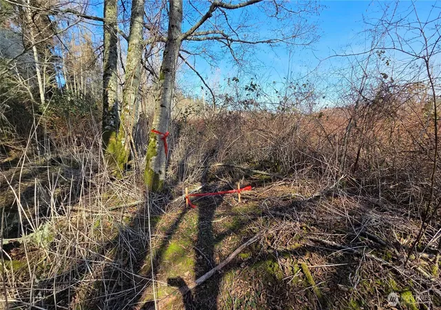 Photo 3 of Land for sale at 5707 Woodard Ave, Freeland, WA 98249 | MLS# NWM2576530 | Listing updated on 2026-09-25
