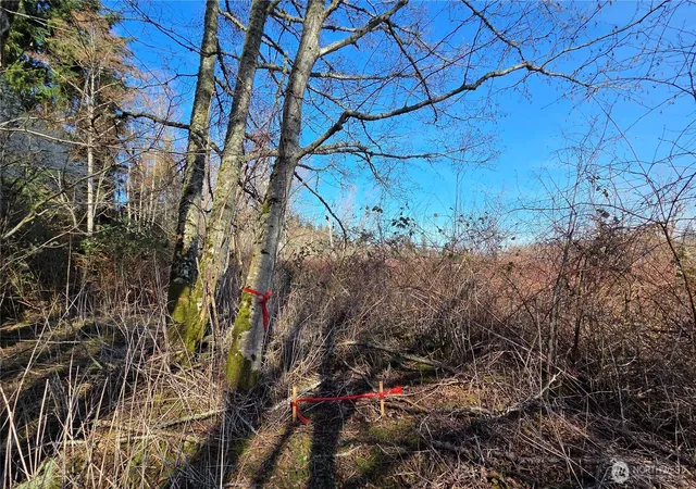 Photo 3 of Land for sale at 5707 Woodard Ave, Freeland, WA 98249 | MLS# NWM2576530 | Listing updated on 2026-09-25