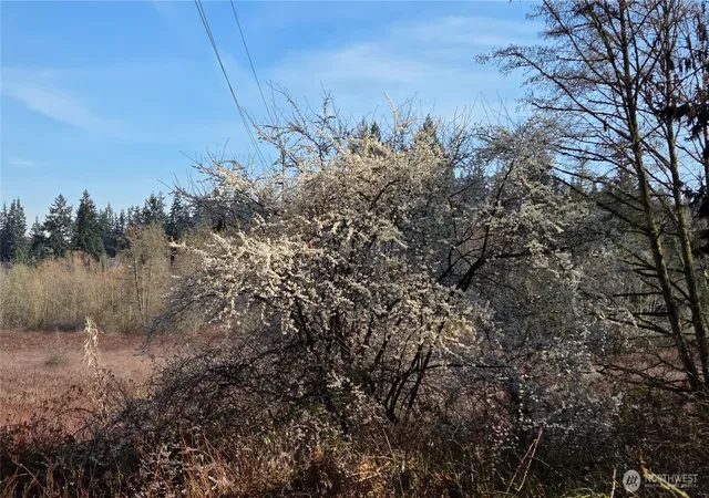 Photo 4 of Land for sale at 5707 Woodard Ave, Freeland, WA 98249 | MLS# NWM2576530 | Listing updated on 2026-09-25