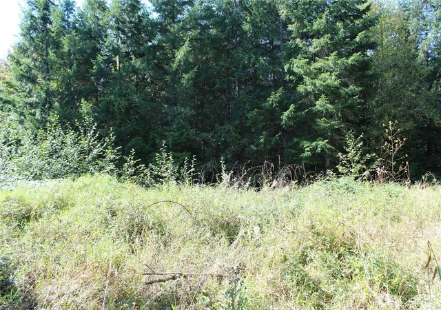 Photo 2 of Land for sale at 0 Lot G Ravenwood Dr, Kelso, WA 98626 | MLS# NWM2576855 | Listing updated on 2026-09-21