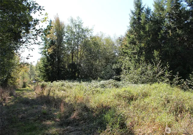 Photo 3 of Land for sale at 0 Lot G Ravenwood Dr, Kelso, WA 98626 | MLS# NWM2576855 | Listing updated on 2026-09-21