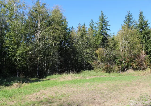 Land for sale at 0 Lot E Ravenwood Dr, Kelso, WA 98626 | MLS# NWM2576884