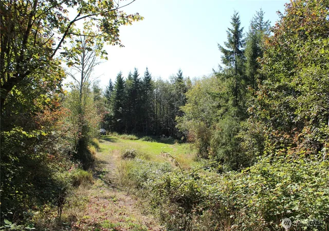 Photo 4 of Land for sale at 0 Lot E Ravenwood Dr, Kelso, WA 98626 | MLS# NWM2576884 | Listing updated on 2026-09-21