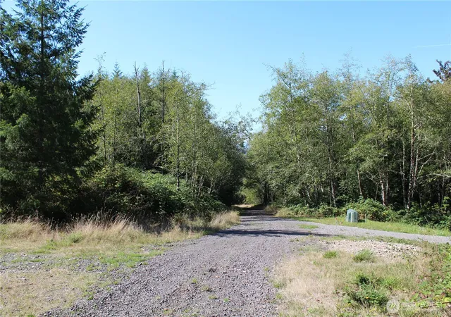 Land for sale at 0 N Lot H Bodine Rd, Kelso, WA 98626 | MLS# NWM2576896
