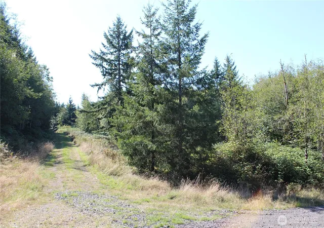 Photo 1 of Land for sale at 0 N Lot H Bodine Rd, Kelso, WA 98626 | MLS# NWM2576896 | Listing updated on 2026-09-21