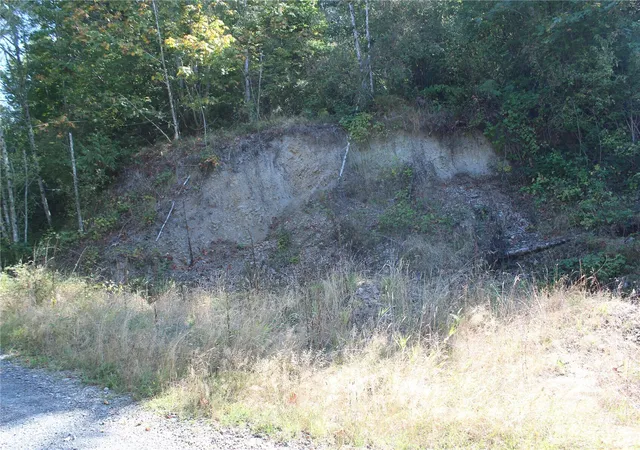 Photo 3 of Land for sale at 0 N Lot H Bodine Rd, Kelso, WA 98626 | MLS# NWM2576896 | Listing updated on 2026-09-21