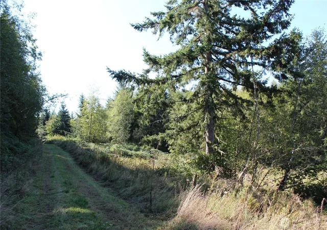 Photo 4 of Land for sale at 0 N Lot H Bodine Rd, Kelso, WA 98626 | MLS# NWM2576896 | Listing updated on 2026-09-21