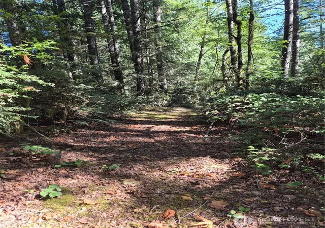Photo 2 of Land for sale at 2755 Lost Crk Ln Nw, Bremerton, WA 98312 | MLS# NWM2577121 | Listing updated on 2026-09-25