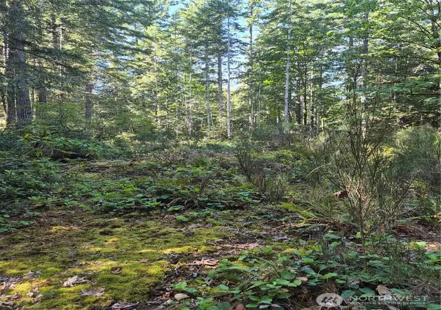 Photo 3 of Land for sale at 2755 Lost Crk Ln Nw, Bremerton, WA 98312 | MLS# NWM2577121 | Listing updated on 2026-09-25